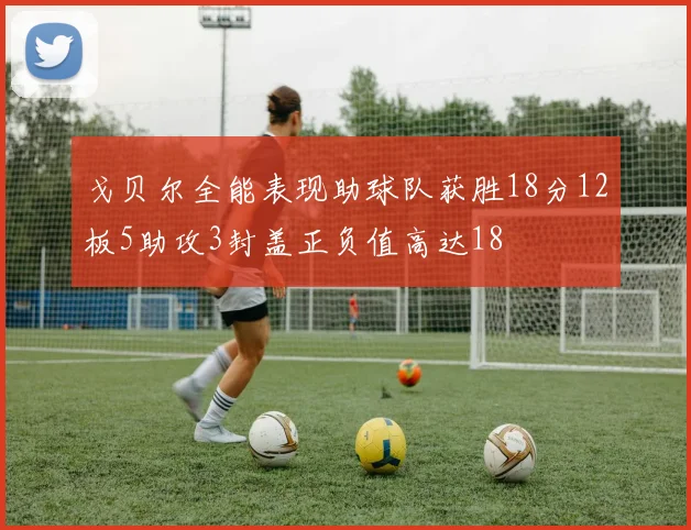 戈贝尔全能表现助球队获胜18分12板5助攻3封盖正负值高达18