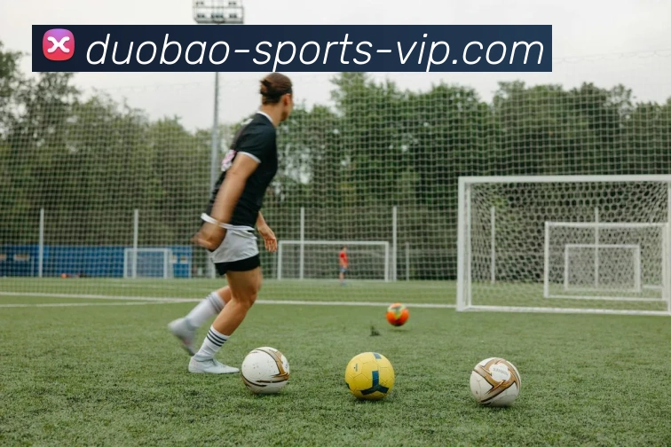 多宝体育服务体系